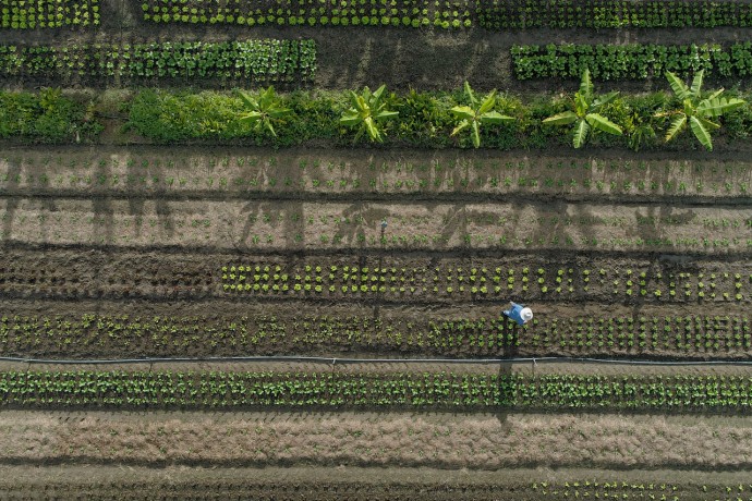Aerial shot of wally fry walking in a field