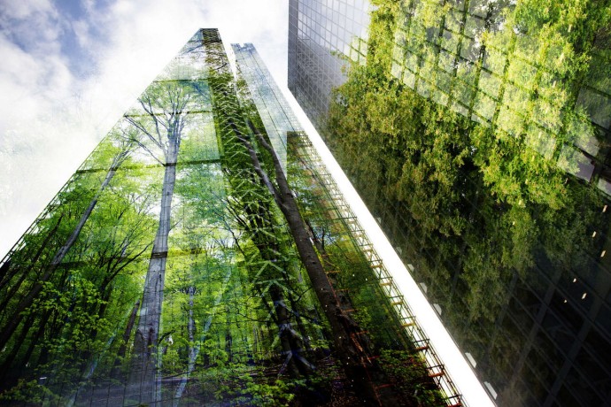 Green forest reflection on modern skyscrapers