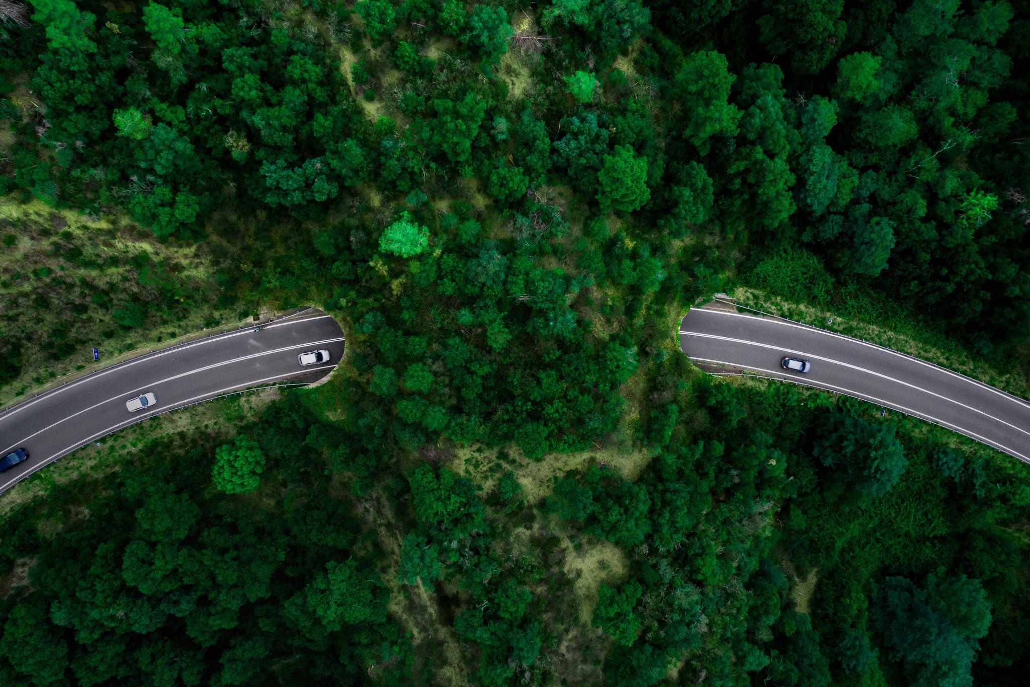 Aerial view of green bridge corridor for wildlife to cross highway safely