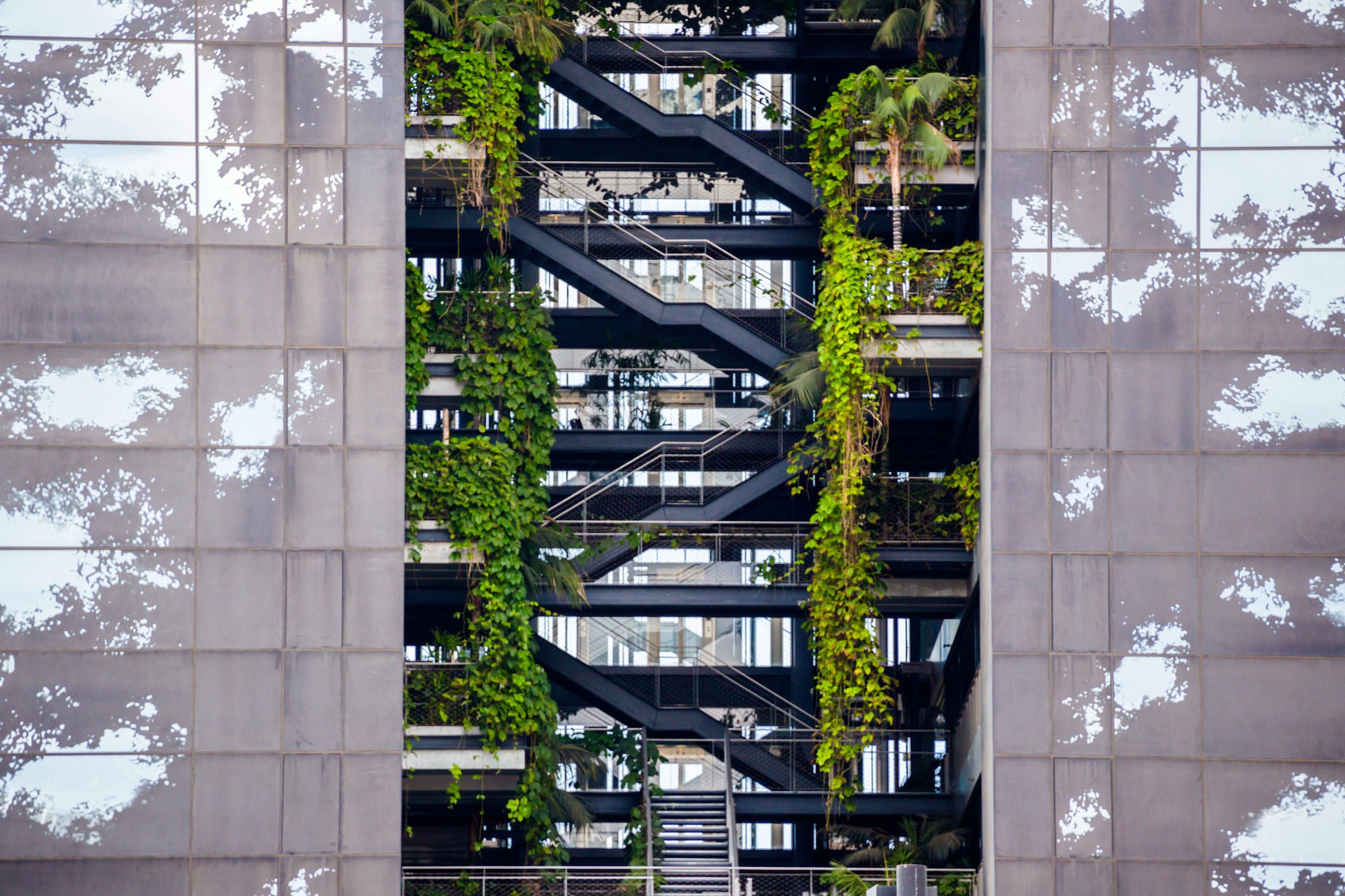 Building levels vegetation growing inside hero