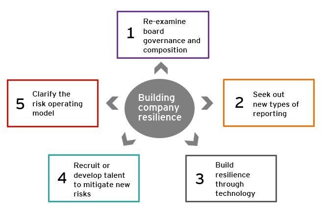 Fortifying governance chart3