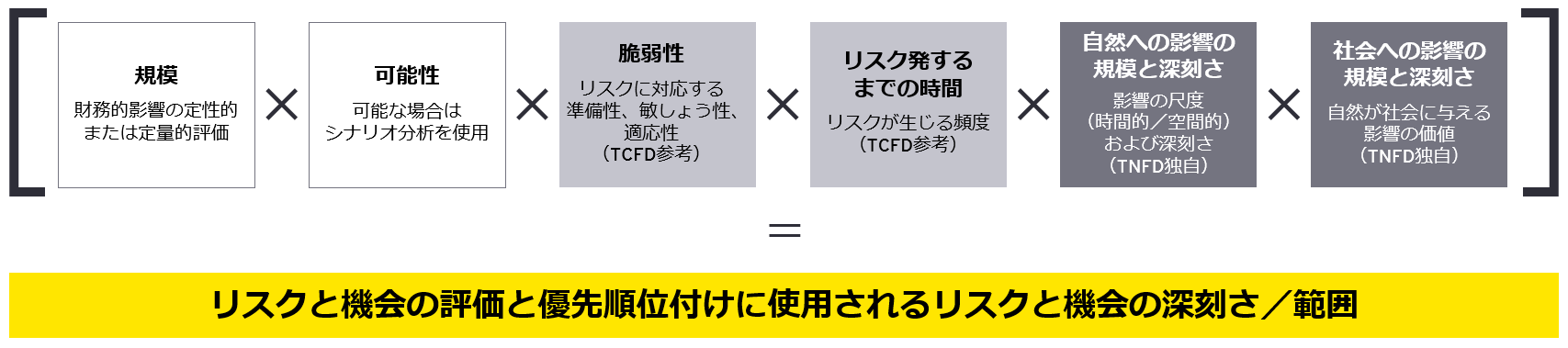 図3　自然関連のリスクと機会を優先順位付けするための基準