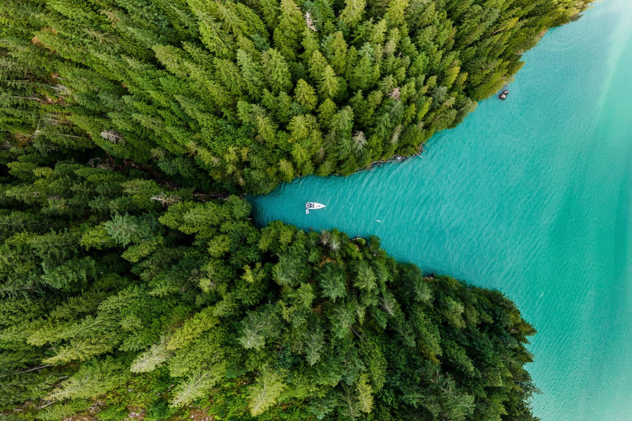 Les états financiers à l’épreuve du climat