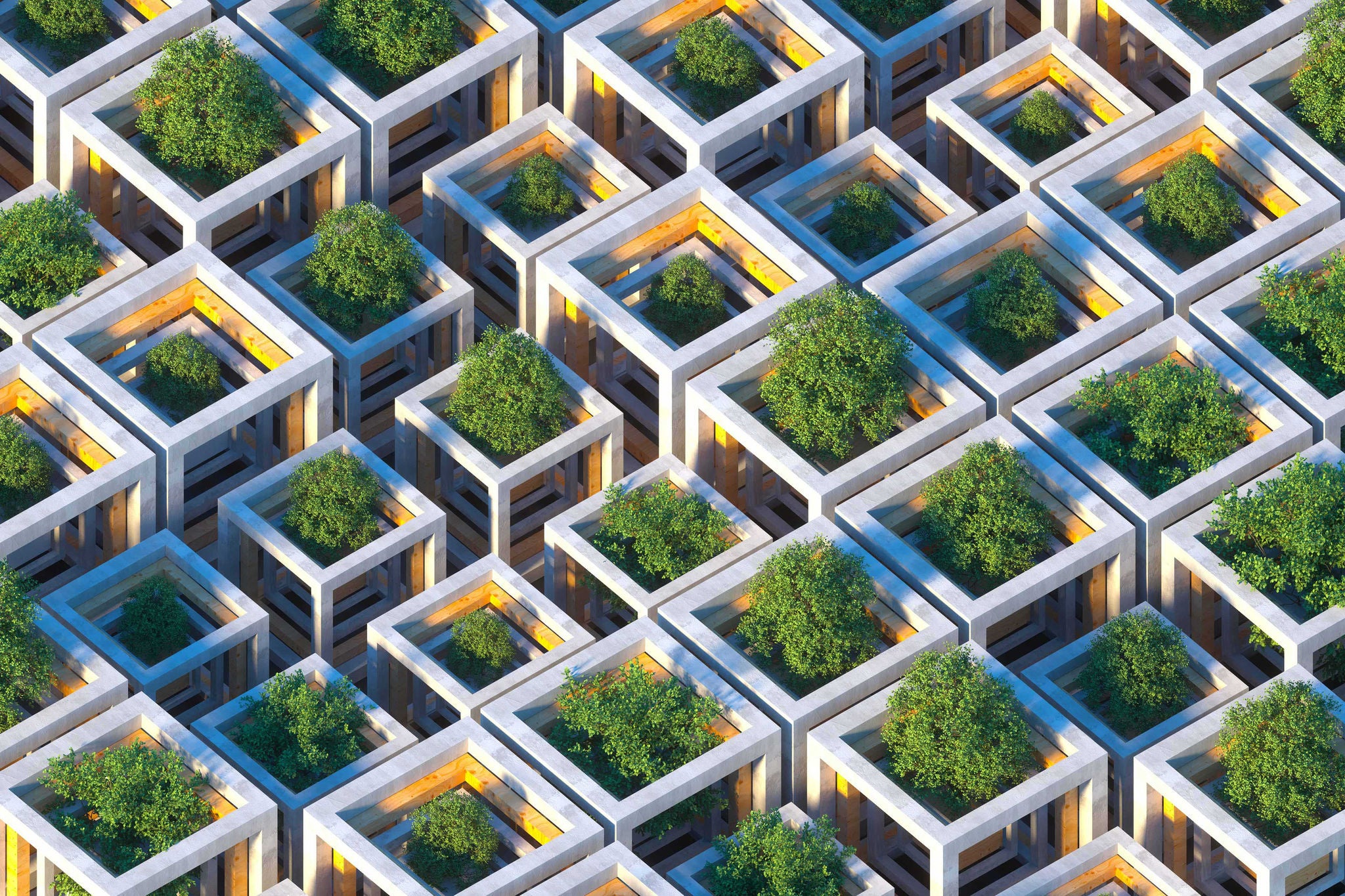 Digital generated image of futuristic sustainable cubic shapes made out of concrete and wood with growing trees inside each cube. Sustainability concept.