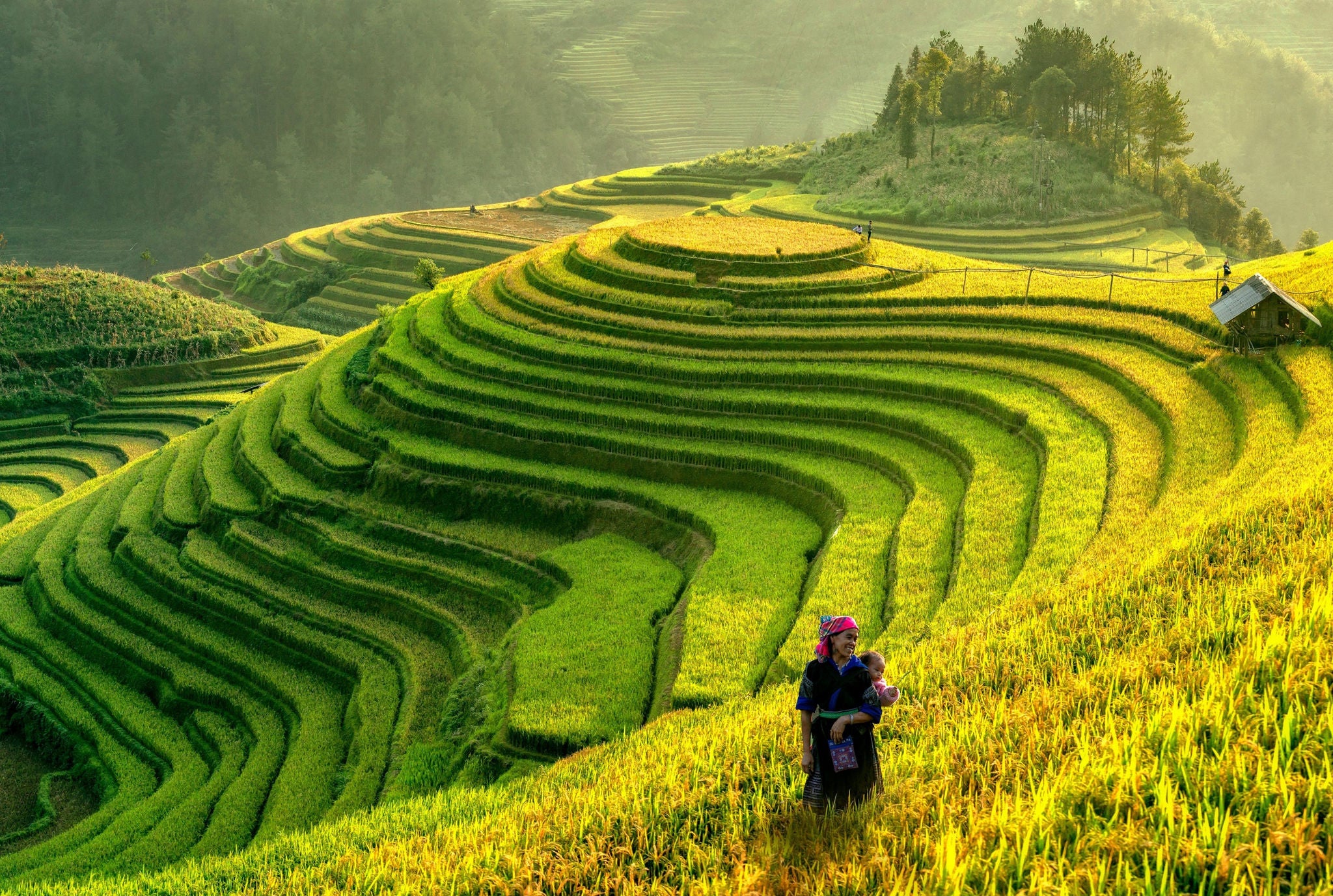 Farmer in hill