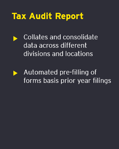 ey-computation-of-income-and-income-tax-return