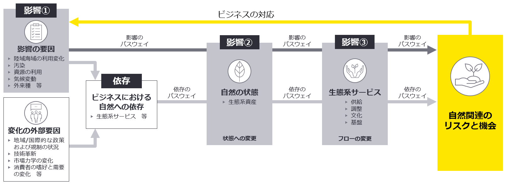 図2　自然関連の依存、影響、リスク、機会の間の関係