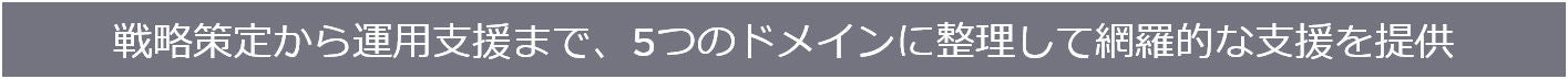 戦略策定から運用支援まで、5つのドメインに整理して網羅的な支援を提供