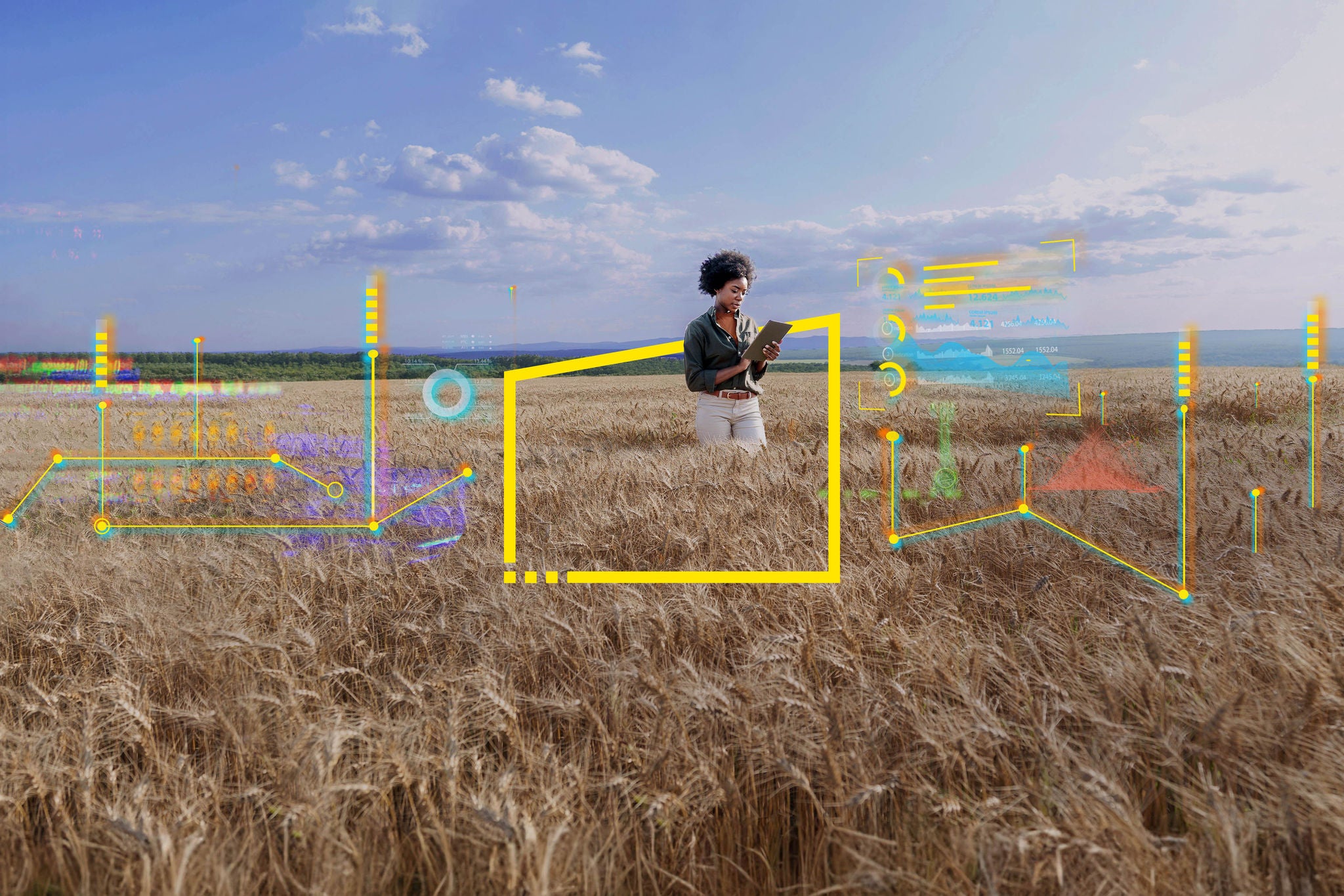 Agronomist using tablet PC in barley field