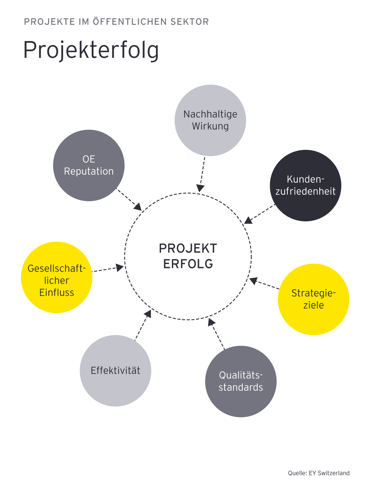 EY projekte im offentlichen sektor