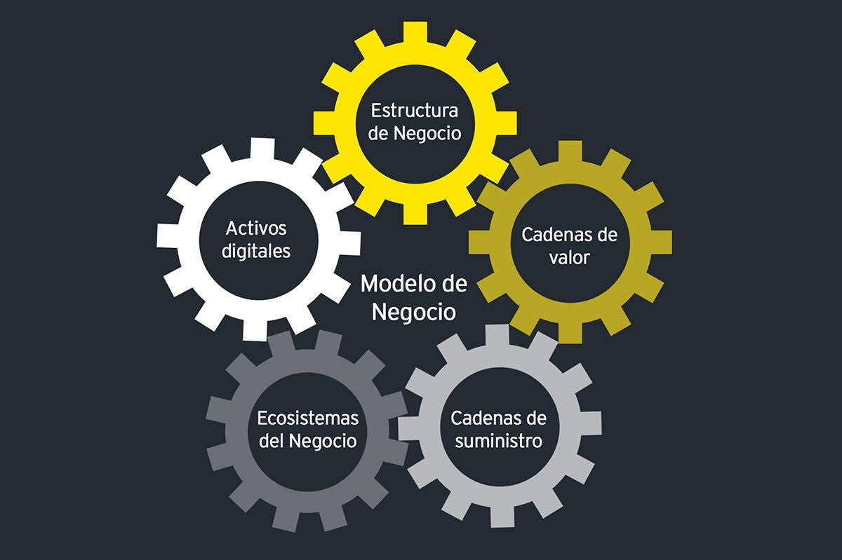 Grafico modelo negocio