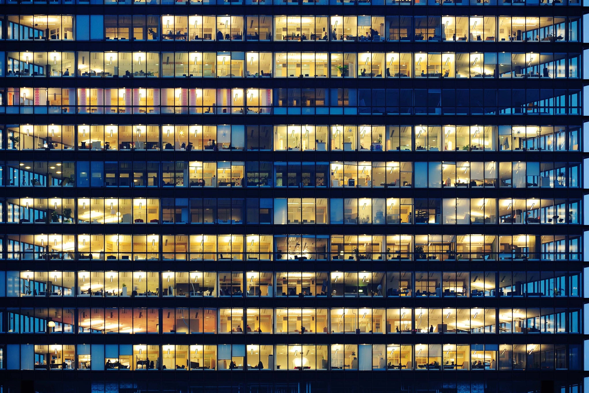 Lots of people working late. Employees seen as silhouettes against their brightly lit offices with large windows. Building framed by the "blue hour" evening sky