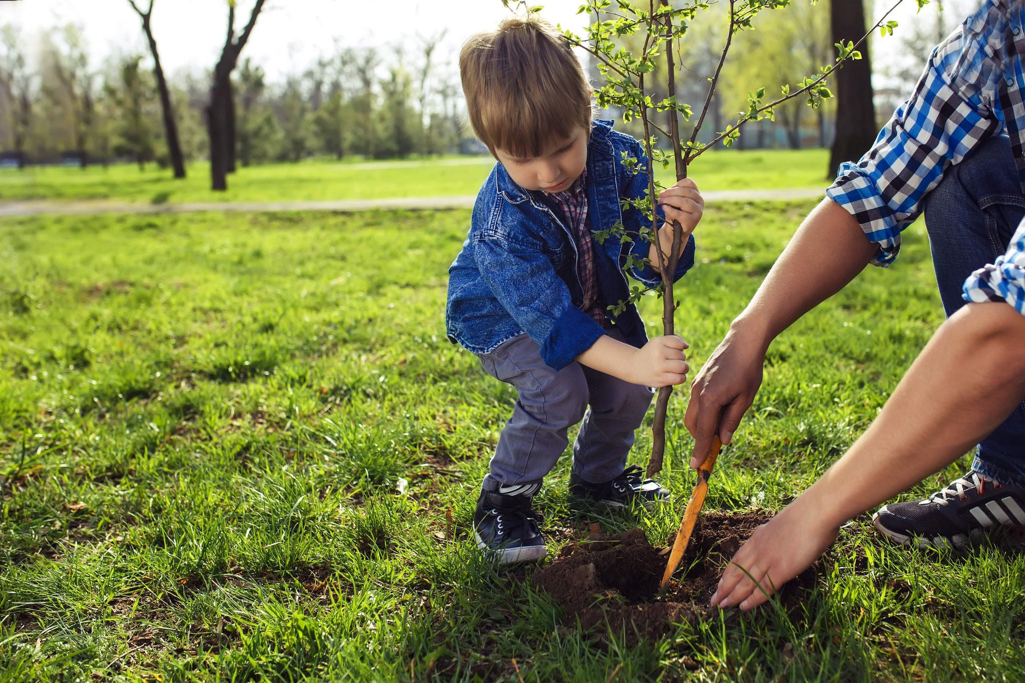 Kid planting in garden