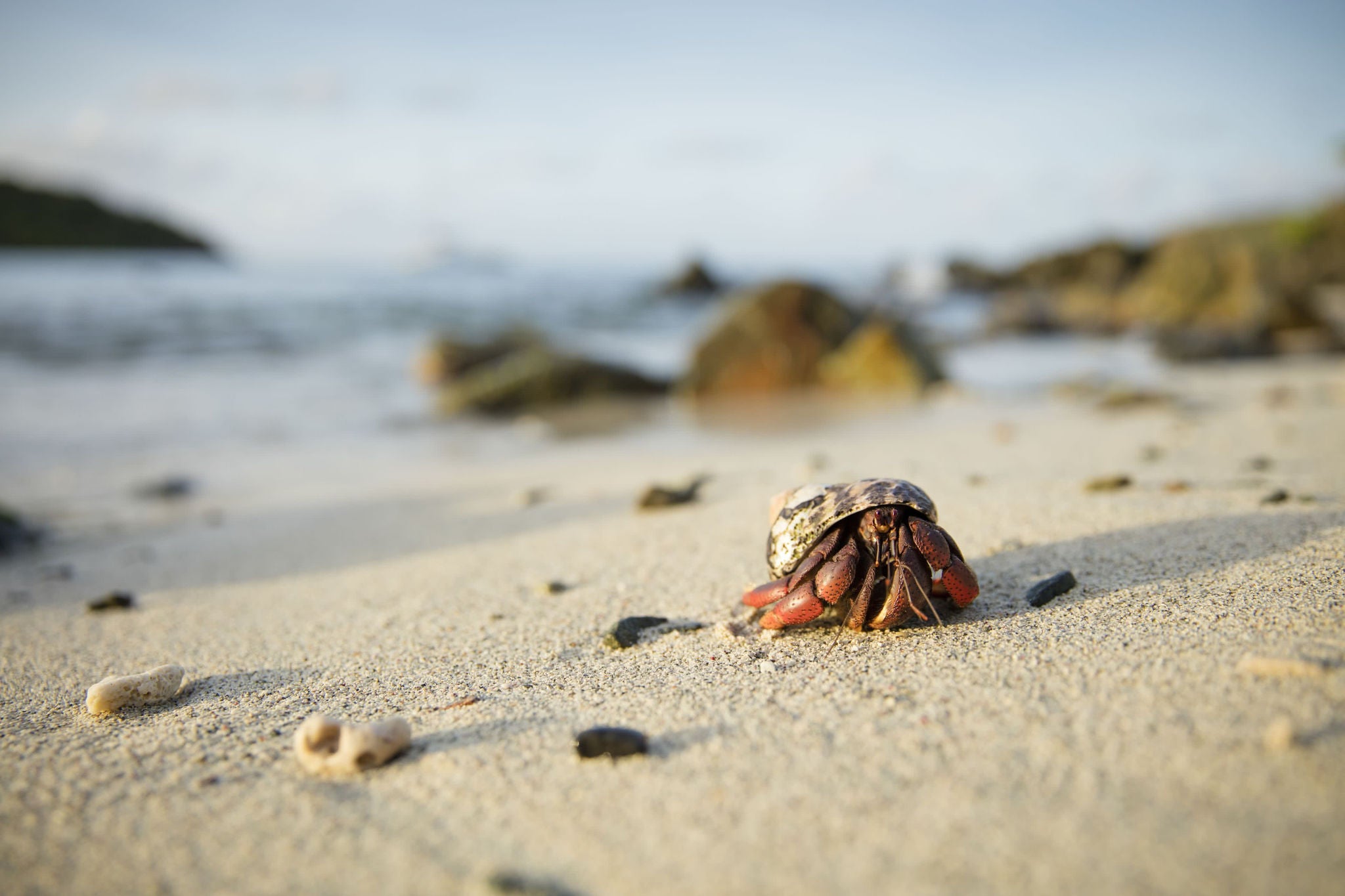 picture from a clean and naturally protected beach