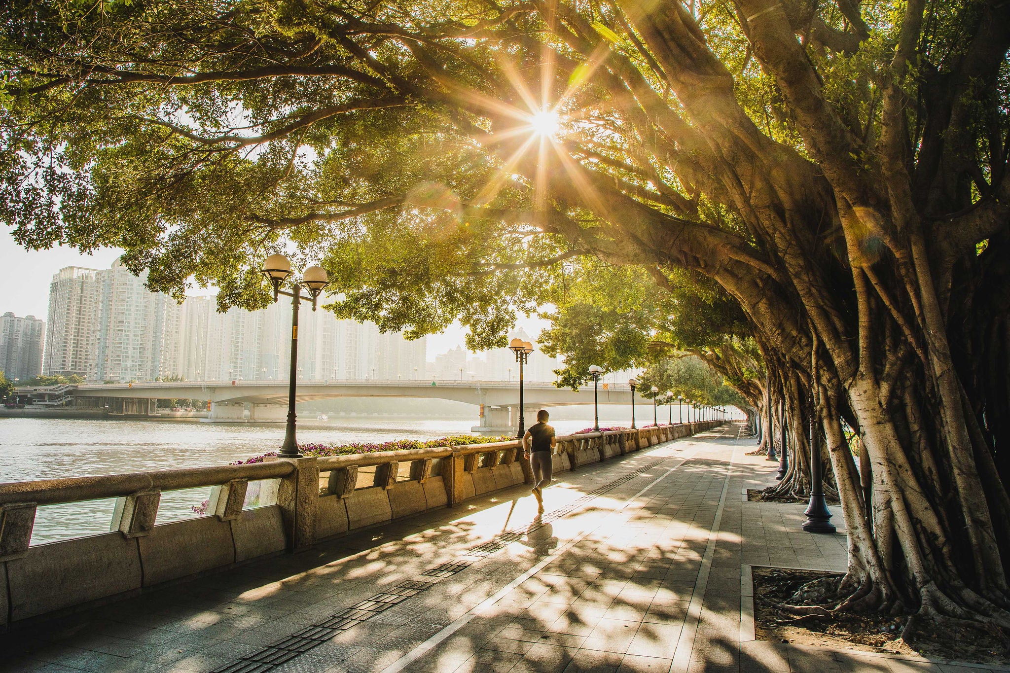 asian woman jogging along the riverside