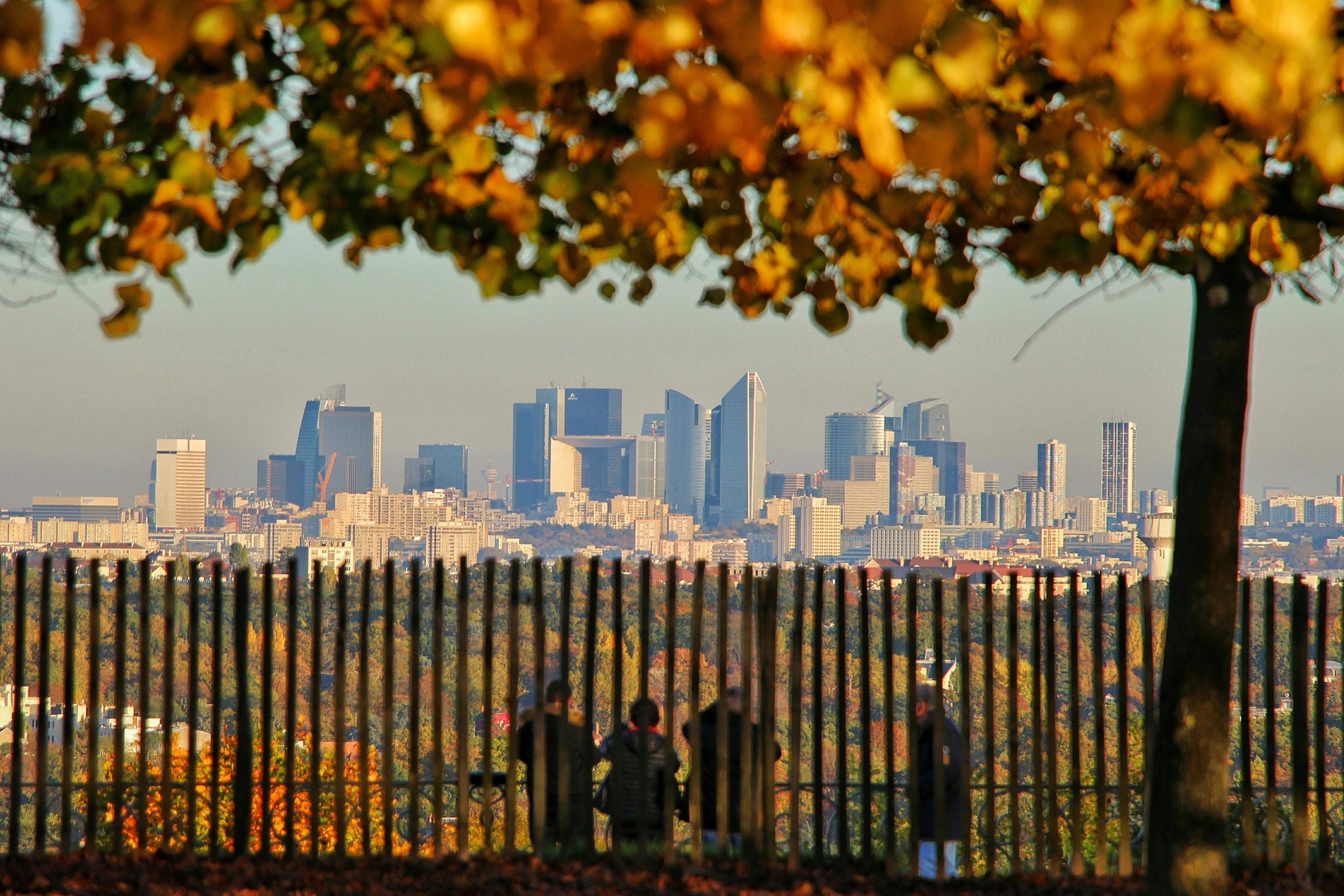 People Fence Cityscape Autumn