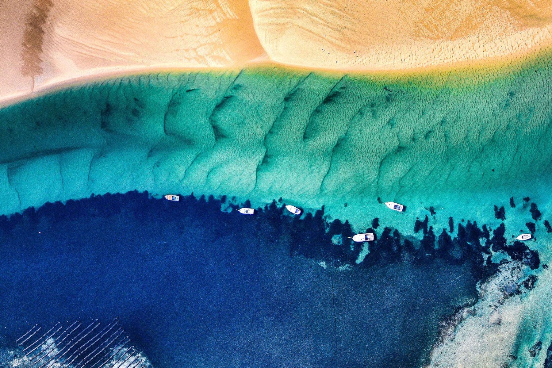 ey-aerial-view-of-yachts-victoria-australia