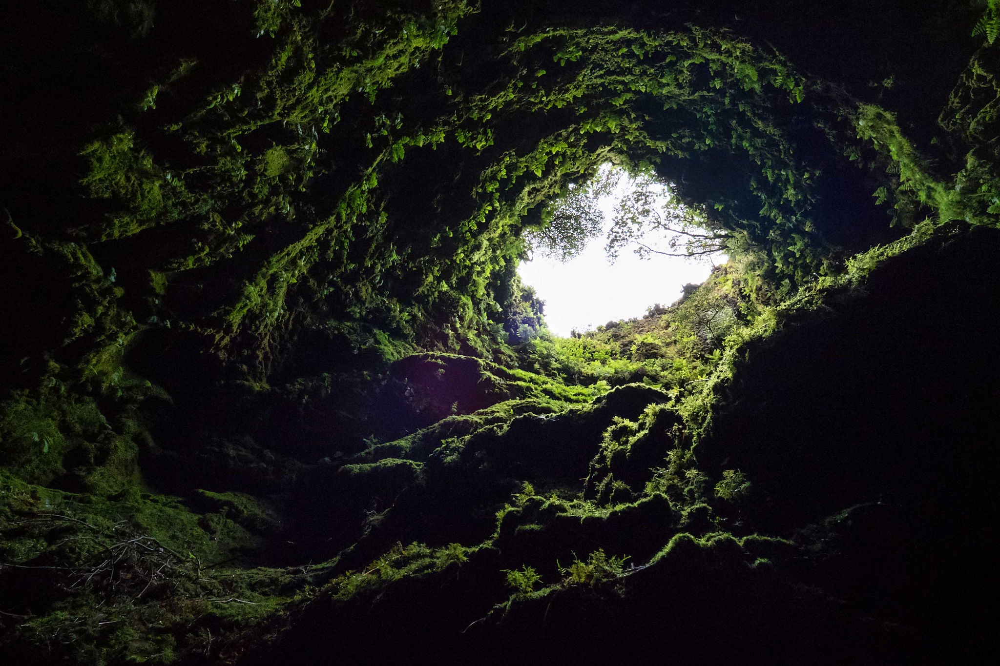 Vista desde abajo dentro de una cueva