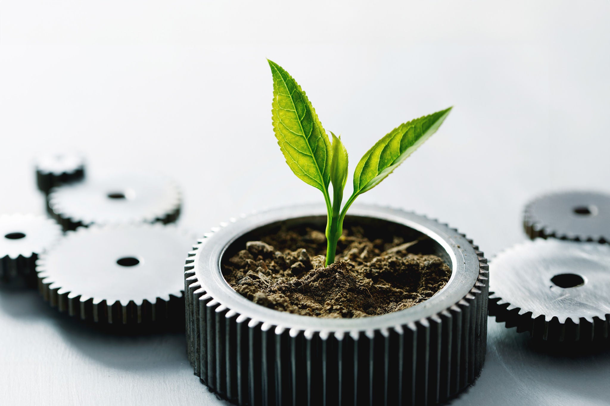 Planta nascendo dentro de uma engrenagem