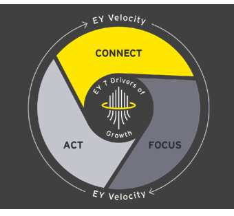 EY velocity cycle