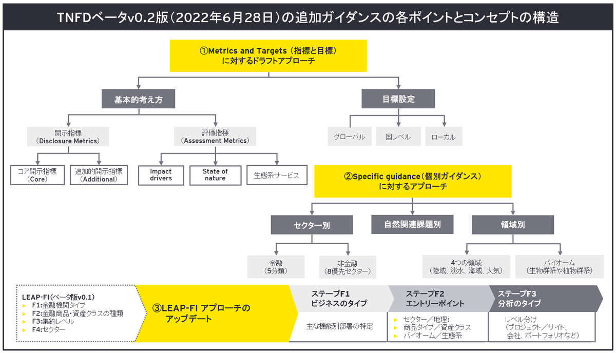 画像：TNFDベータｖ0.2版（2022年6月28日）の追加ガイダンスの各ポイントとコンセプトの構造