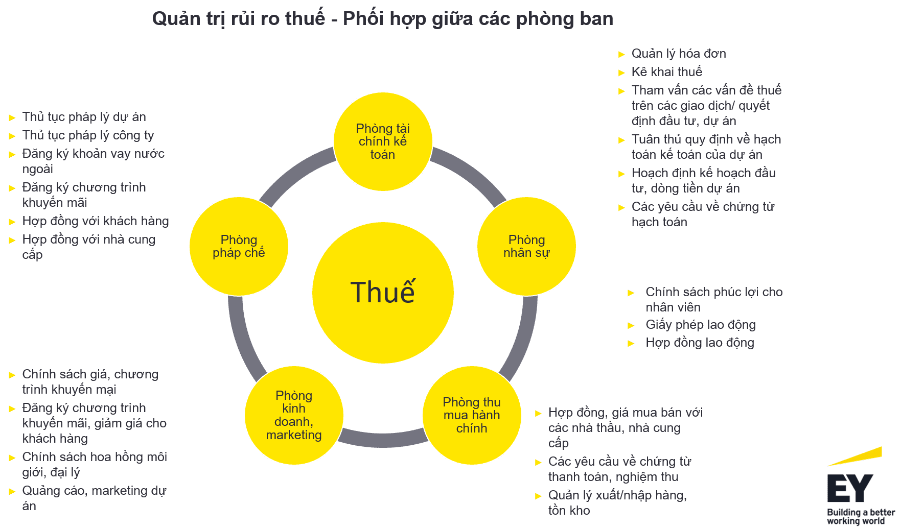 Thuế: “chốt chặn” thiết lập quy trình quản trị doanh nghiệp