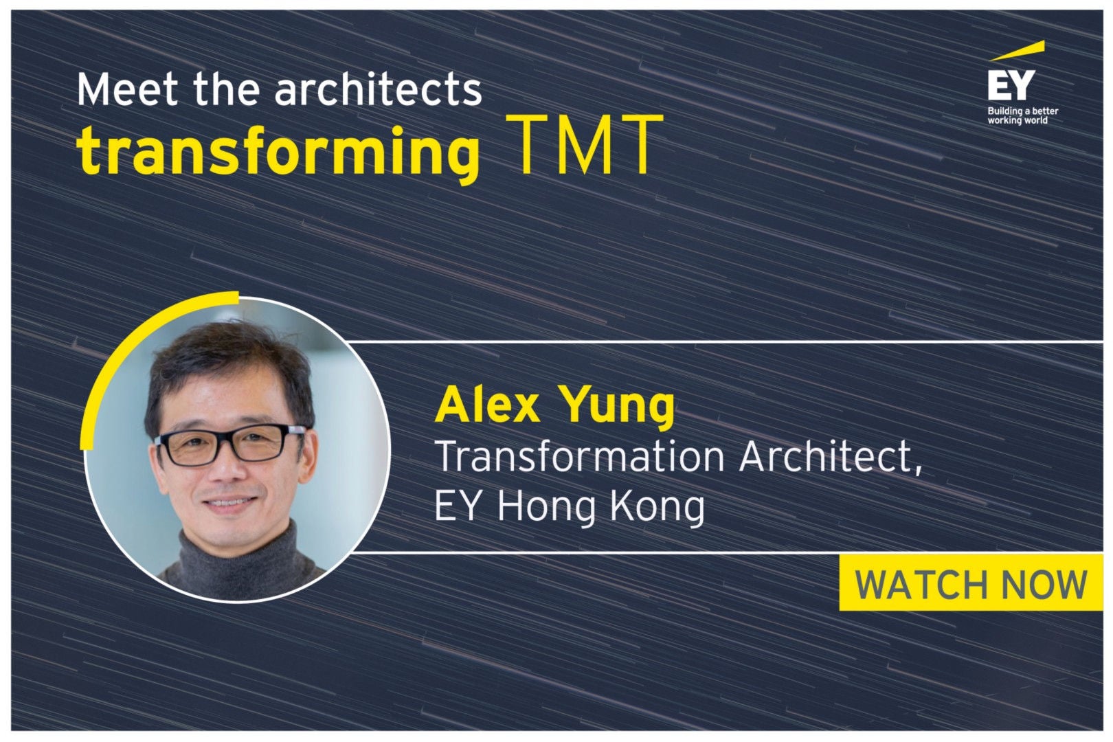 transformation architect