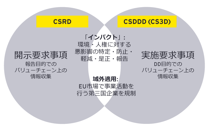 図 1：CSRDとCS3Dとの相関図