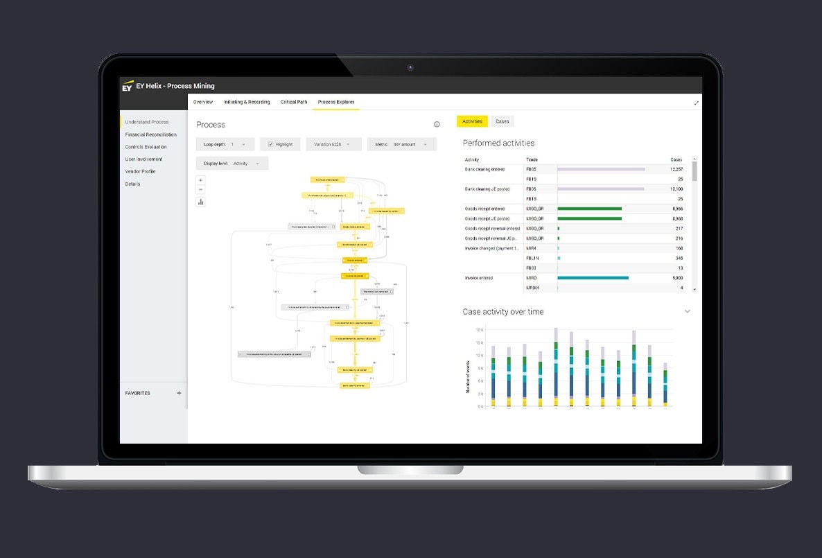 EY Easy Process Assessment Screenshot 1