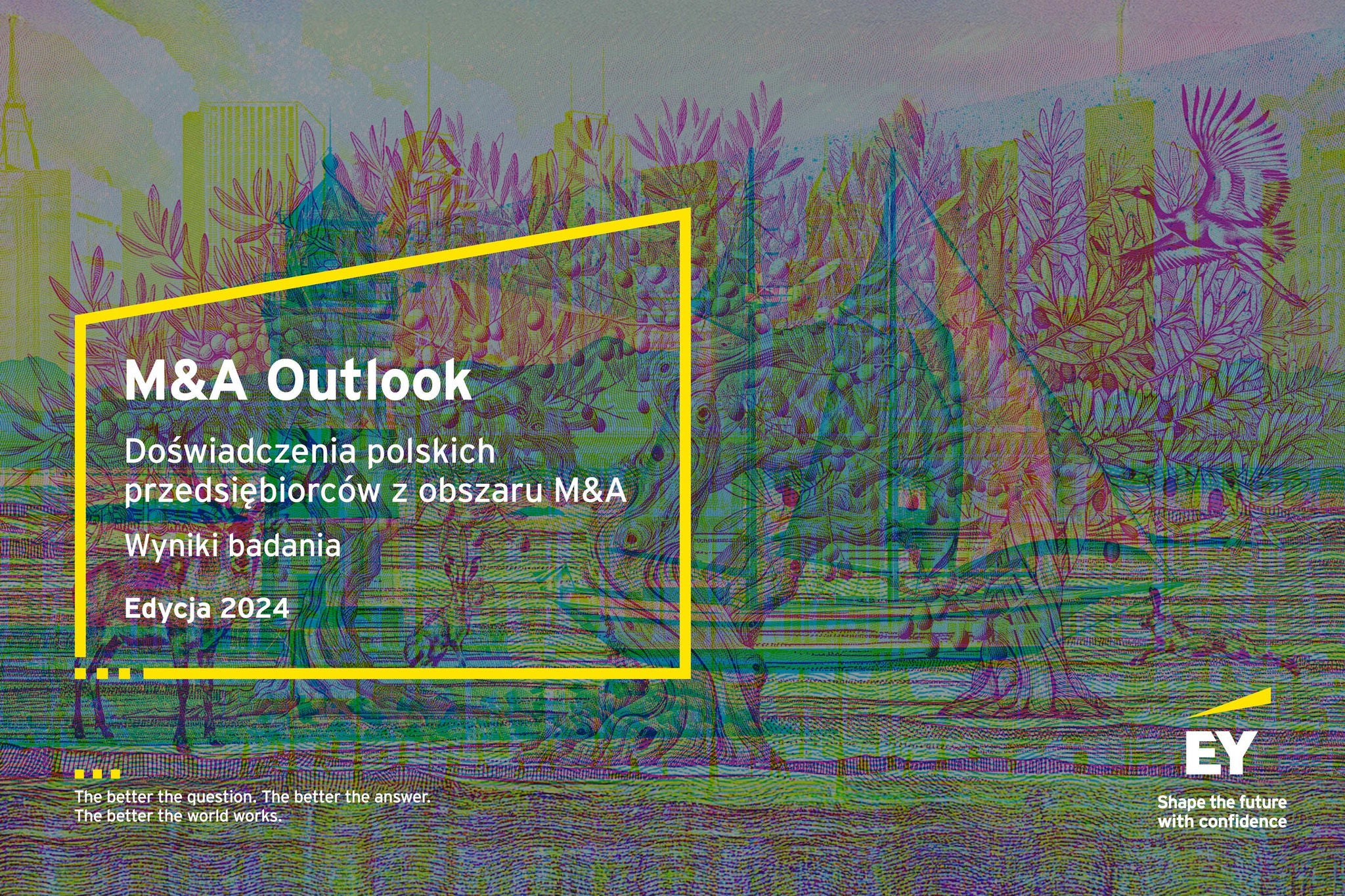 raport m&a outlook