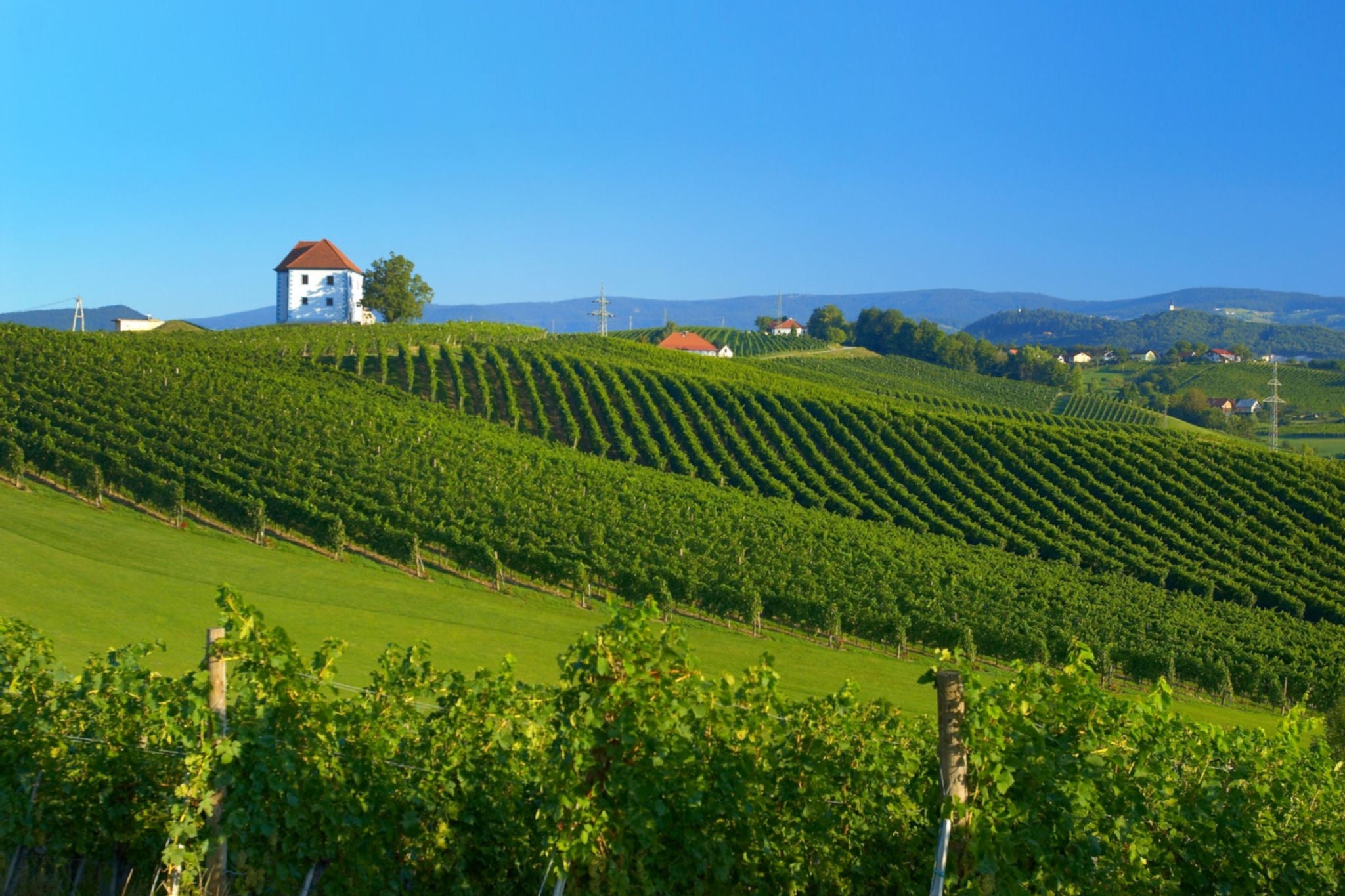 Slovenska pokrajina