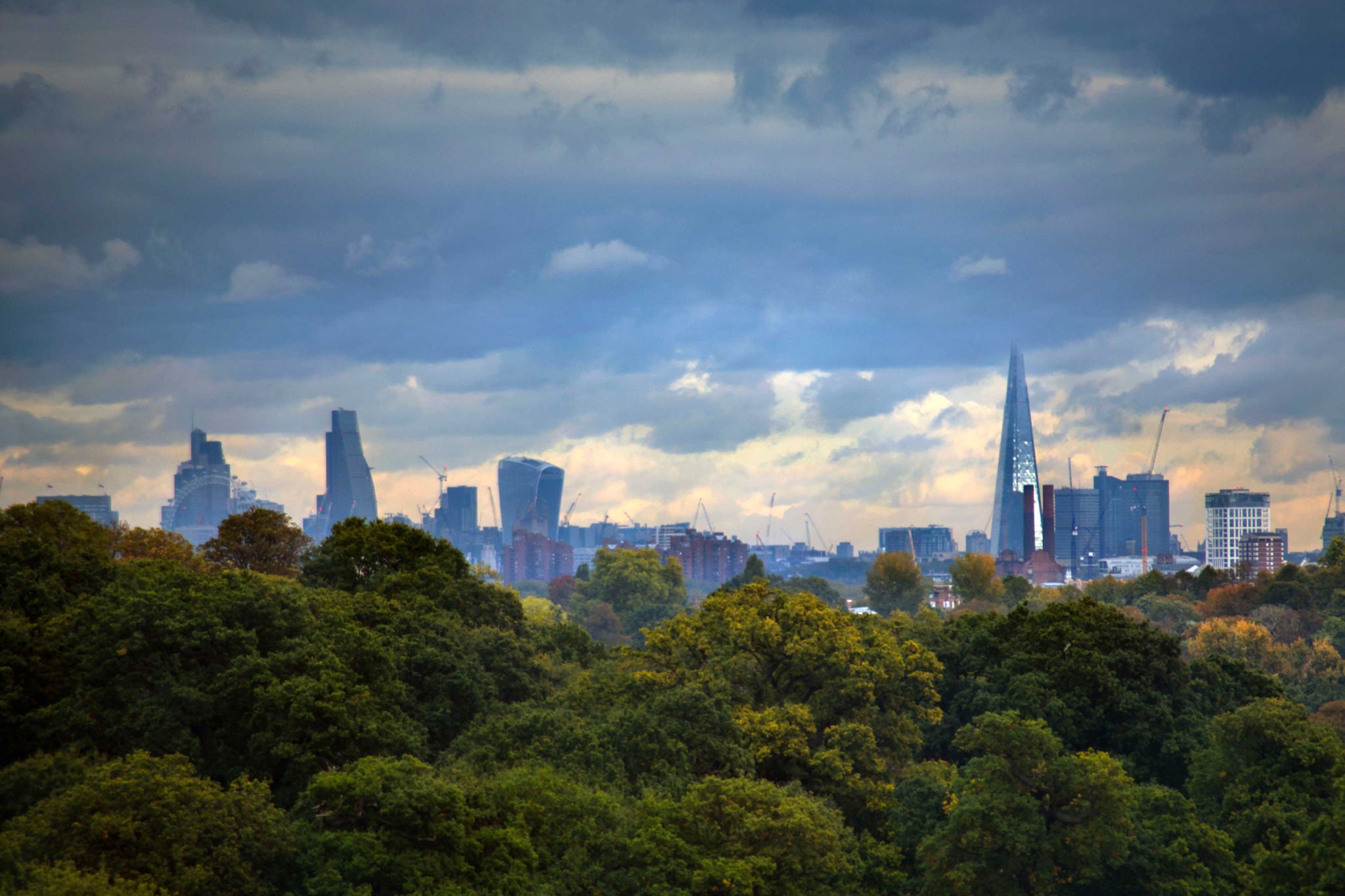 ey-image-of-trees-with-the-city-in-the-background-thumbnail-v1-20230804