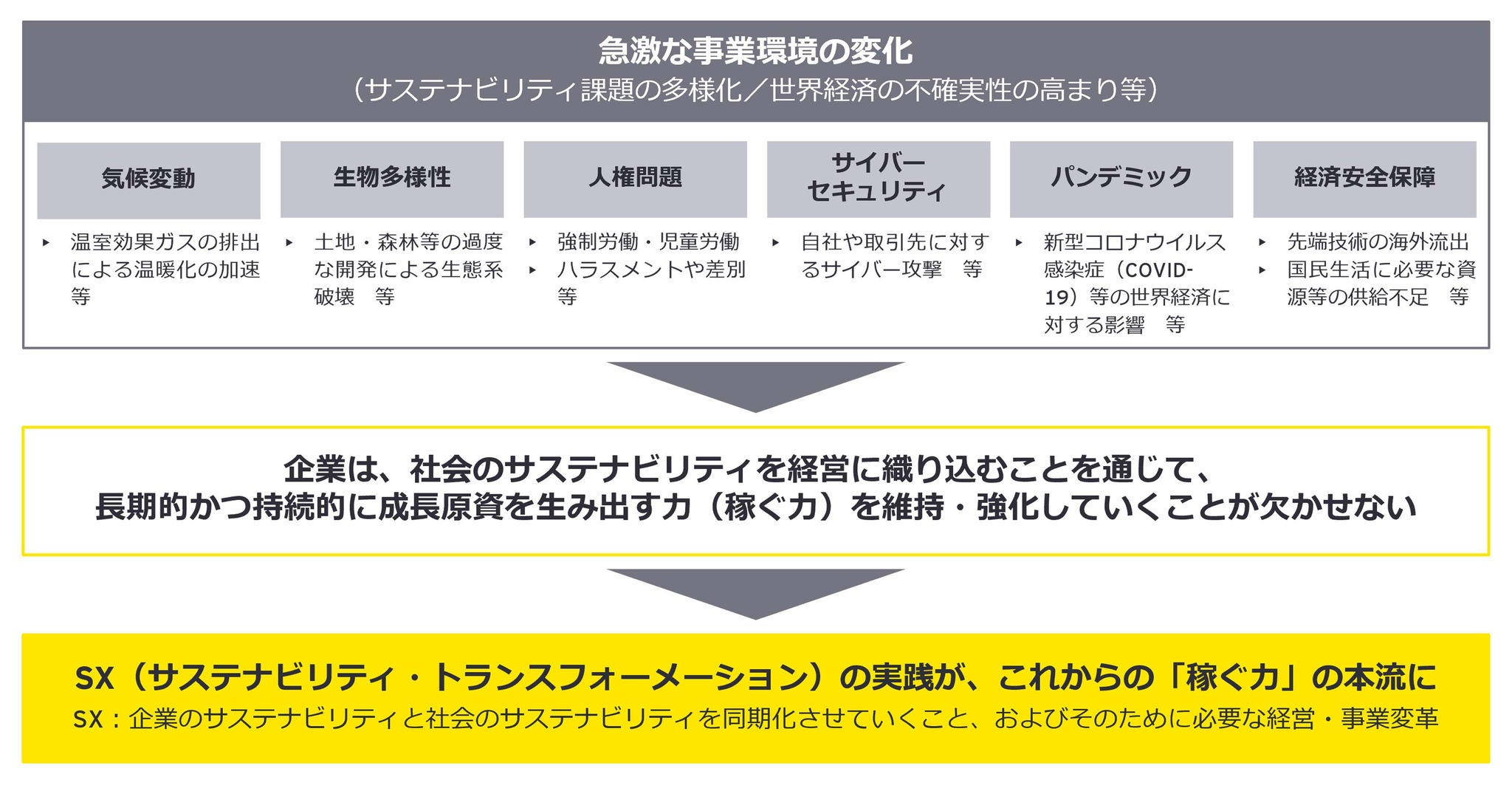 図1：サステナビリティ・トランスフォーメーションの実践