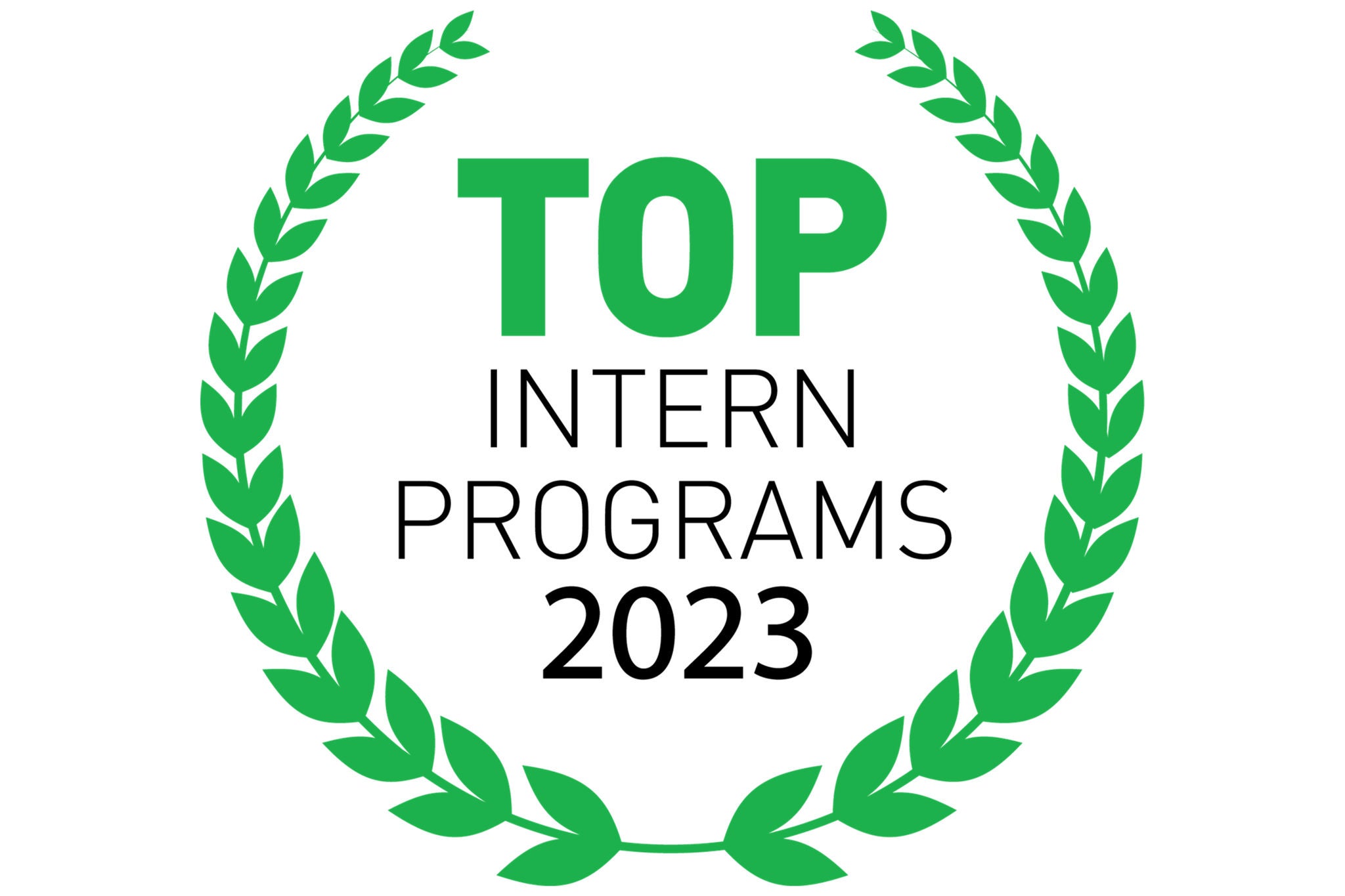 ey-top-intern-program