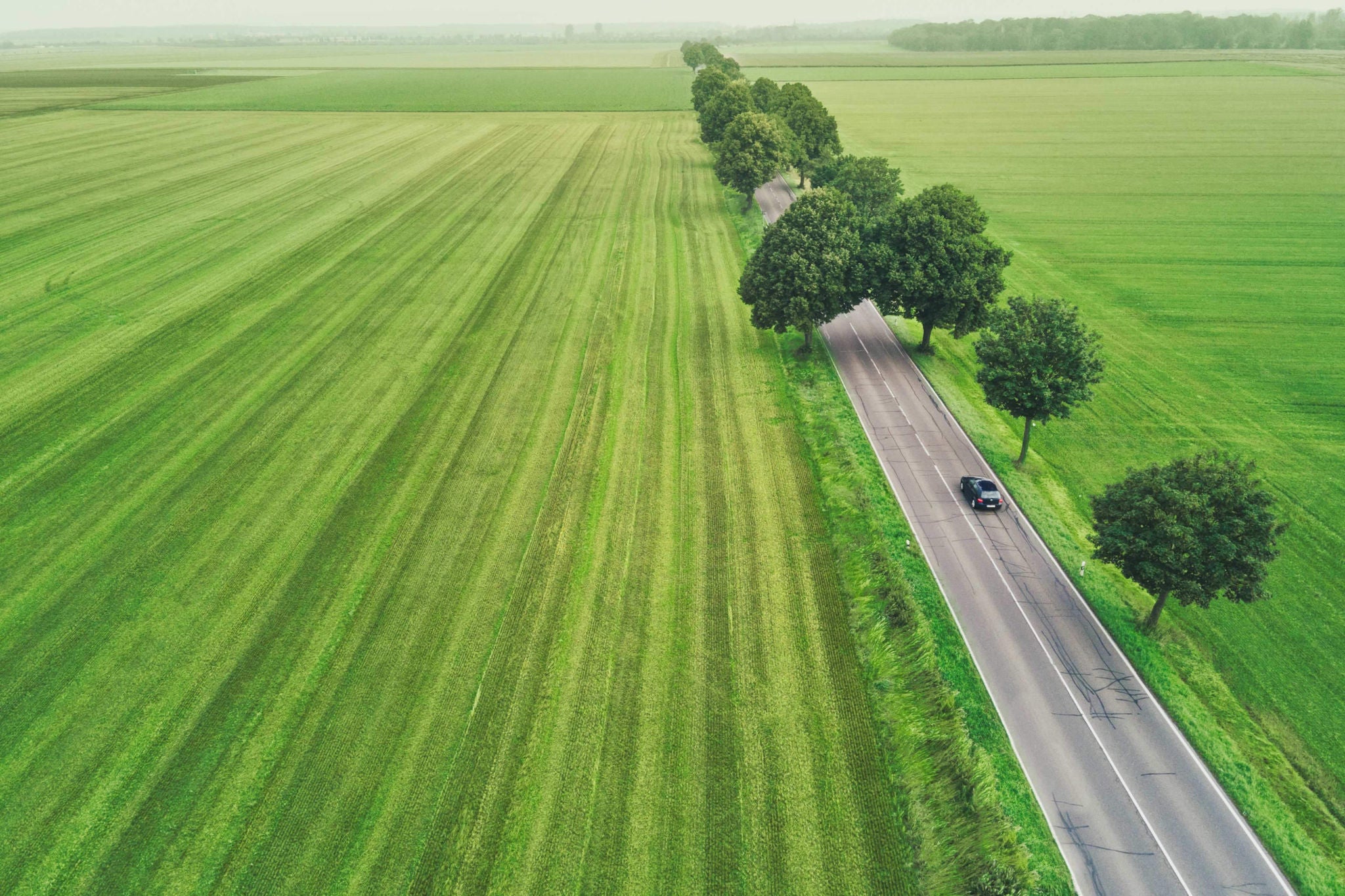 auto jadące po drodze pośród drzew i pól