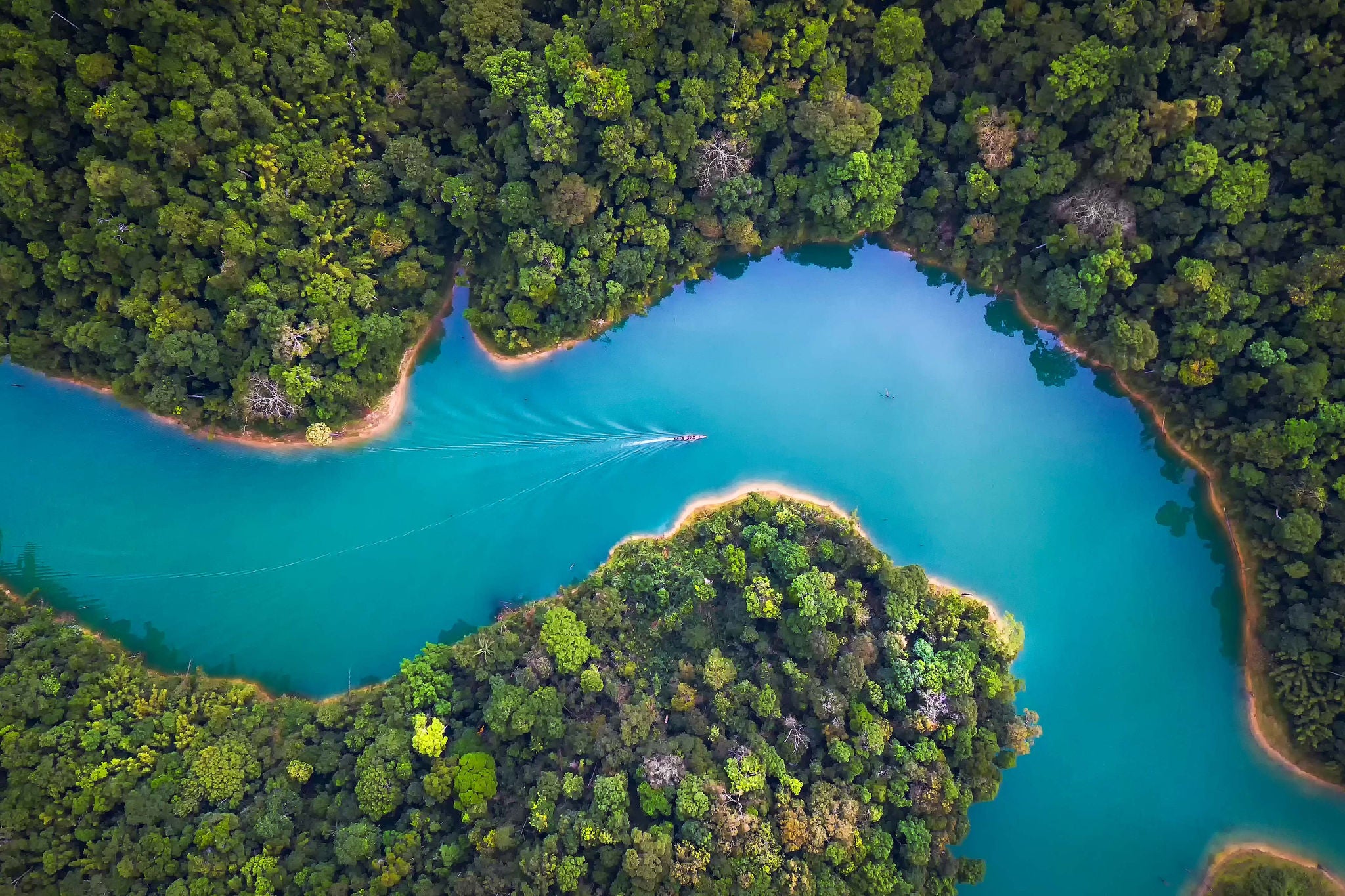 EY small boat is sailing in the forest river