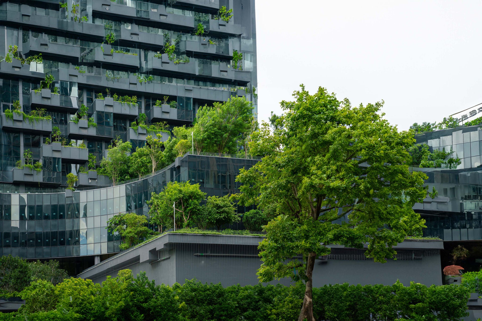 Detail from a living wall 