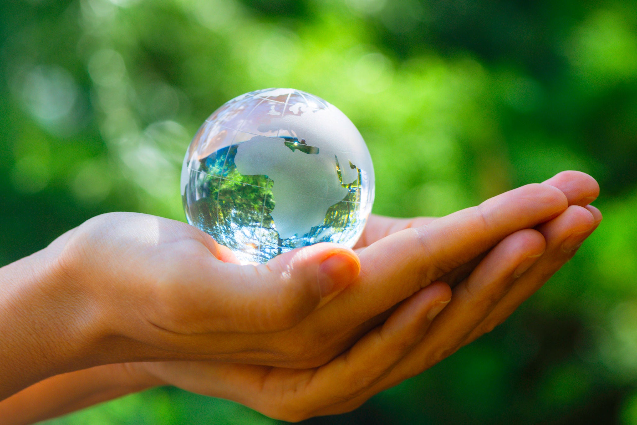 Hand is holding glass globe in forest