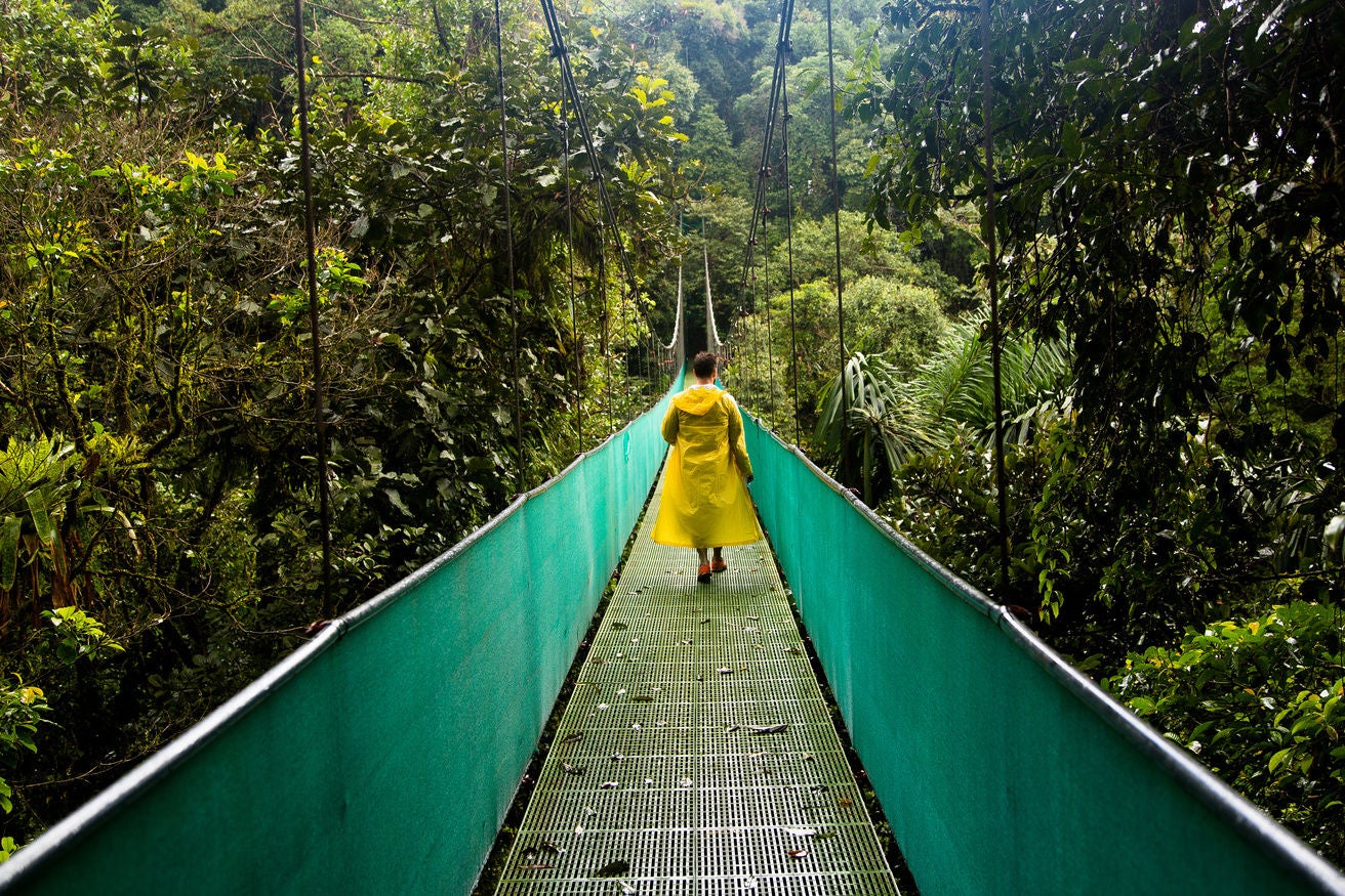 Costa Rica Regenwald