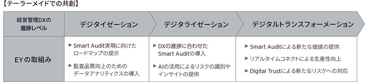 digital audit chart08