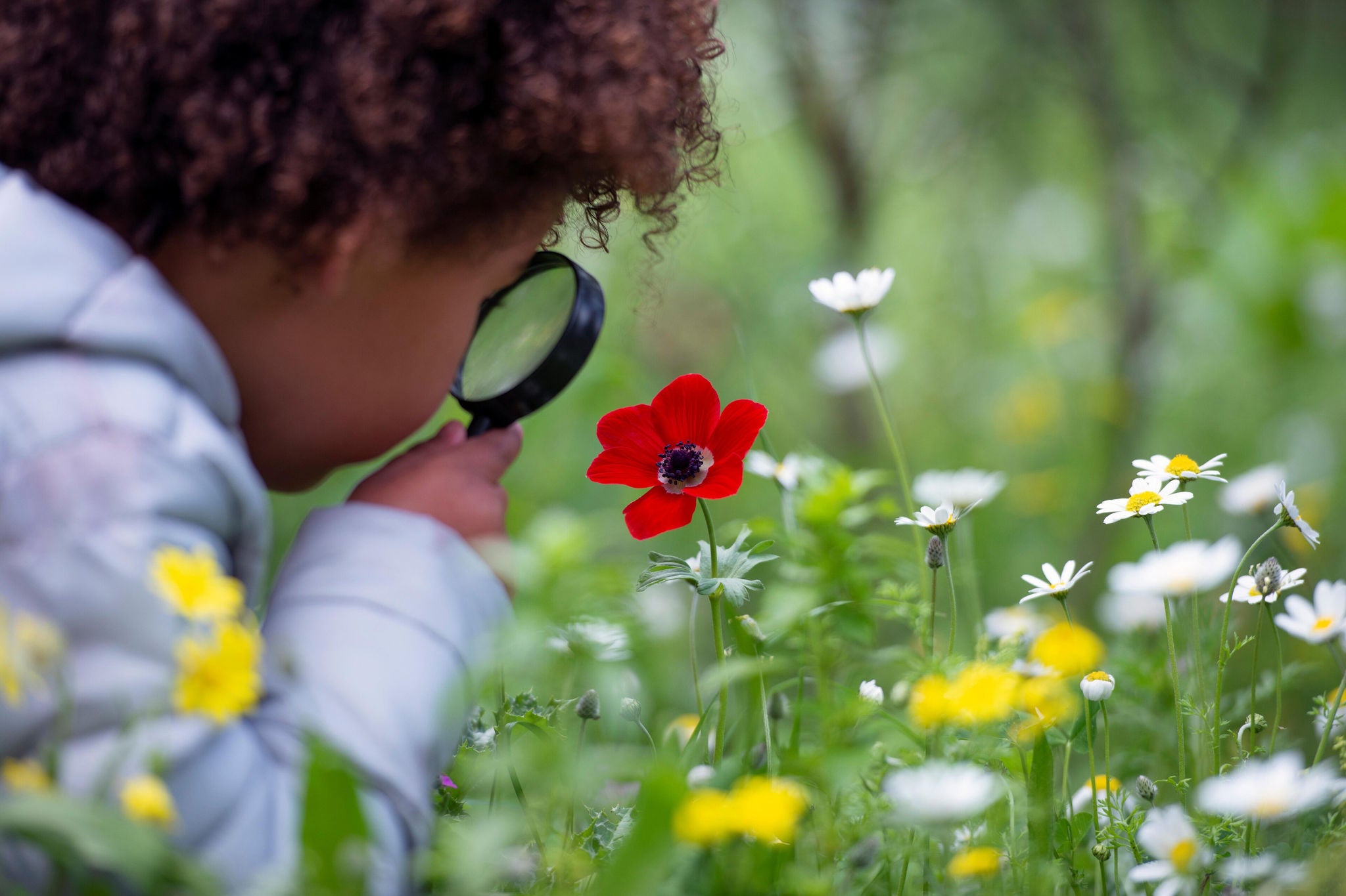 A girl looking at flowers through a magnifier