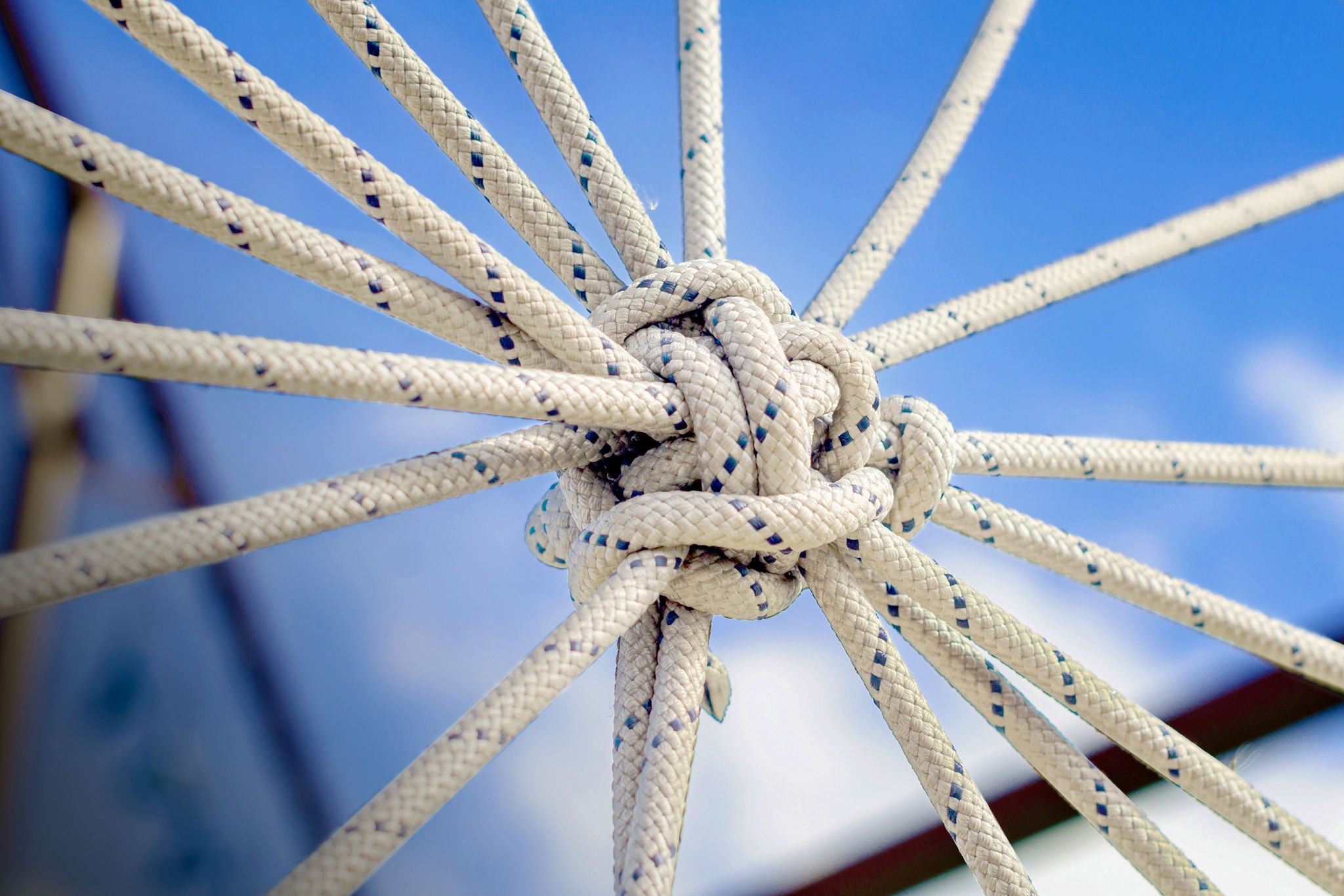 ey-detail-of-many-ropes-knotted-together.jpg