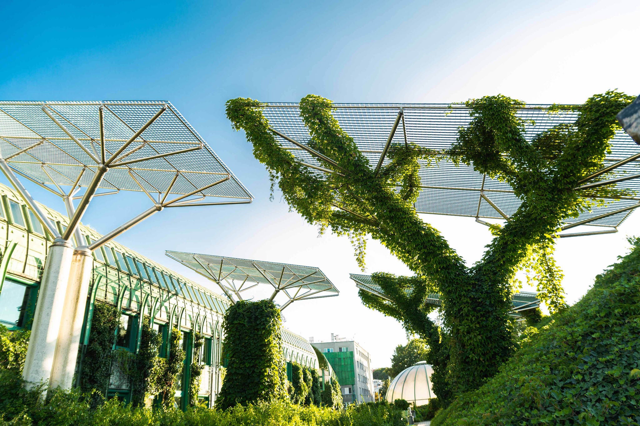 Beautiful gardens on roof of university library in center of warsaw