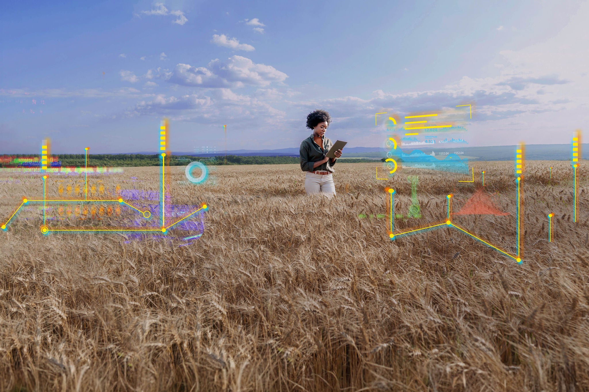 AI agronomist using tablet pc in barley field