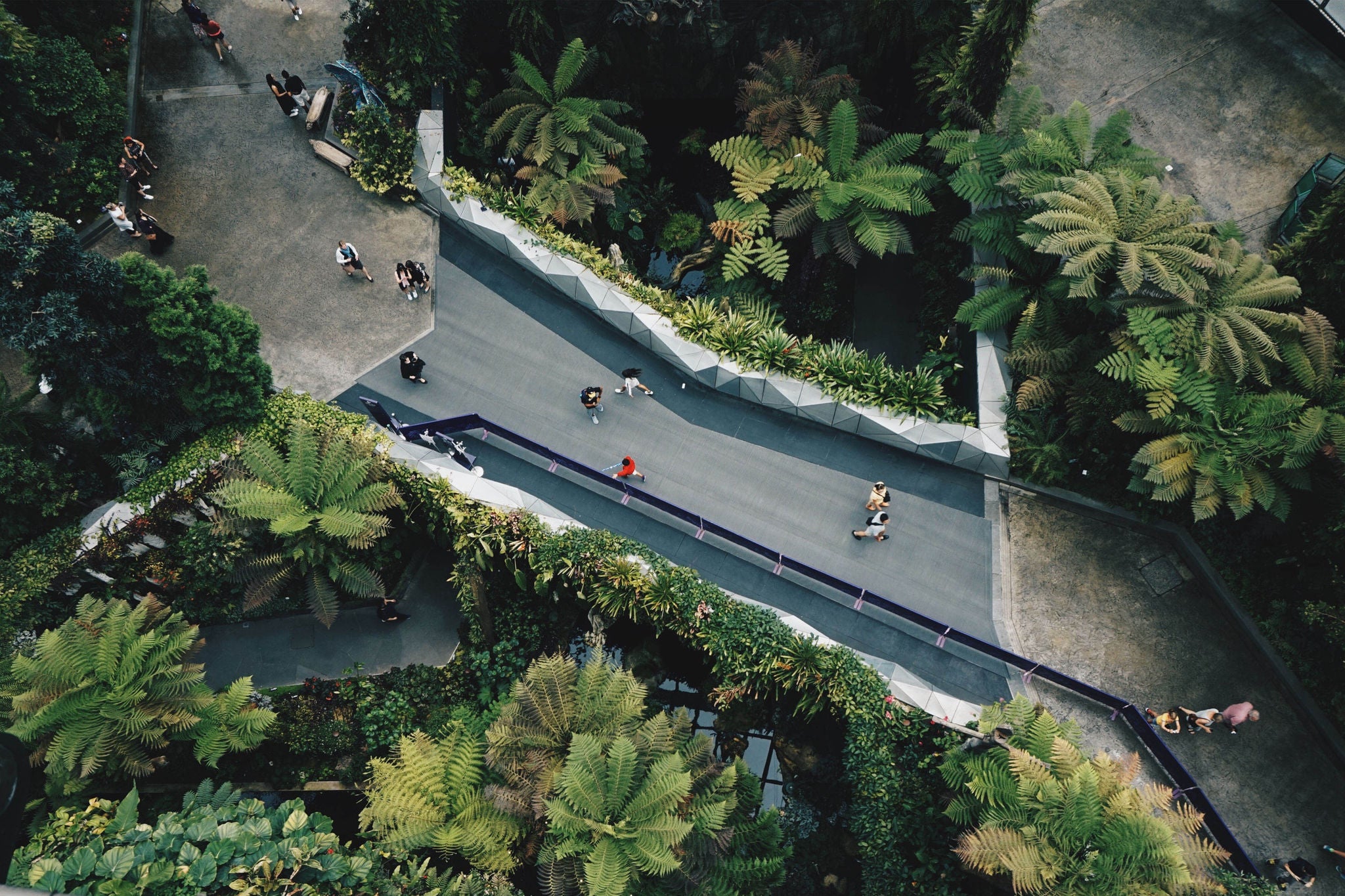 Road by trees