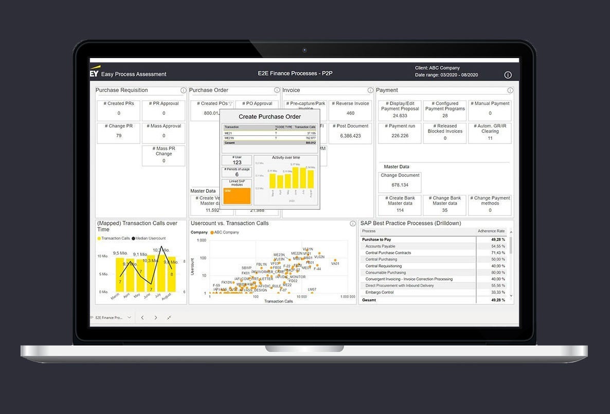 ey-easy-process-assessment-screenshot3