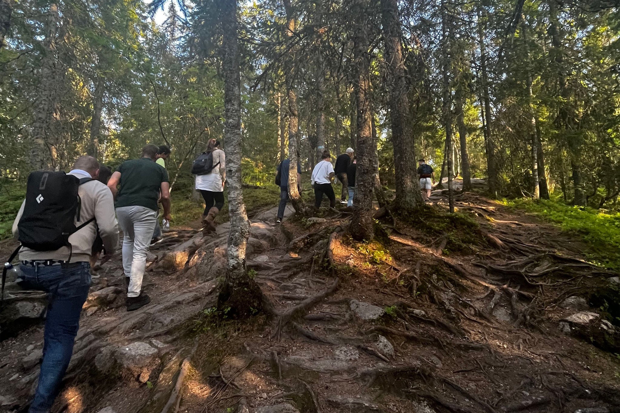 Sustainability leaders trek through the forest as part of the Forest Walkshop