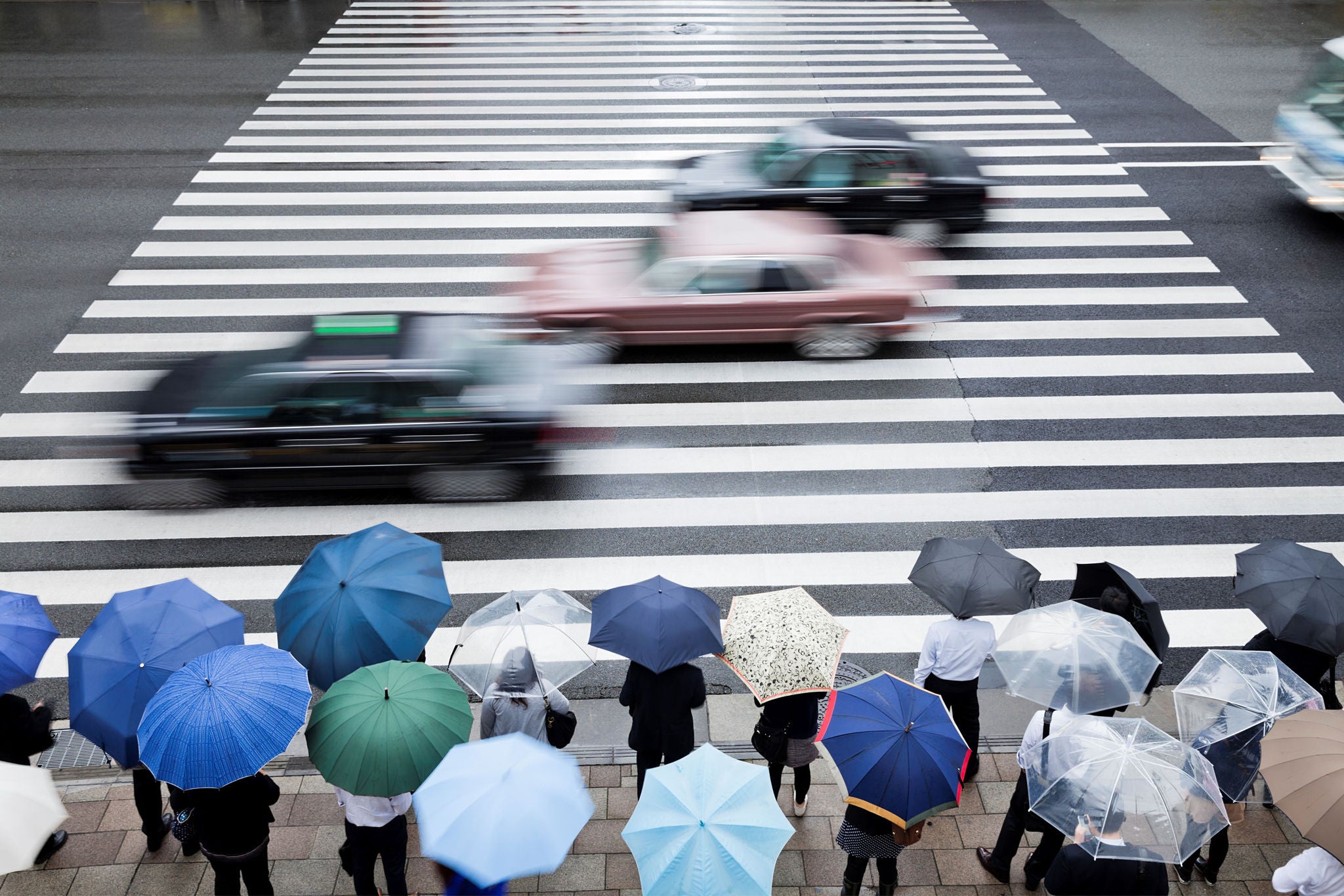 Tokyo rainy commuters waiting at a stoplight in the morning by holding umbrellas