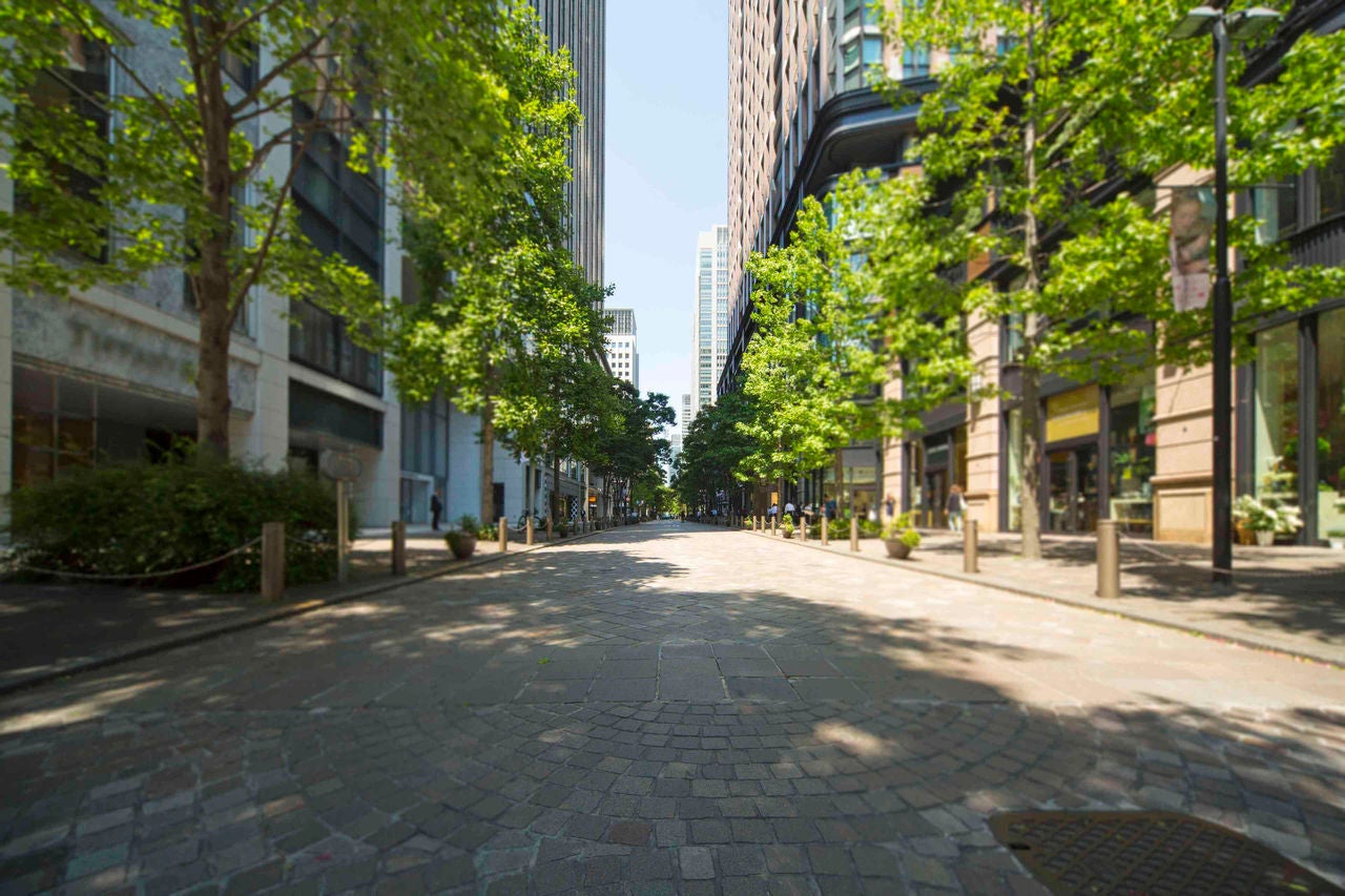 A concrete road lined with trees runs between modern buildings