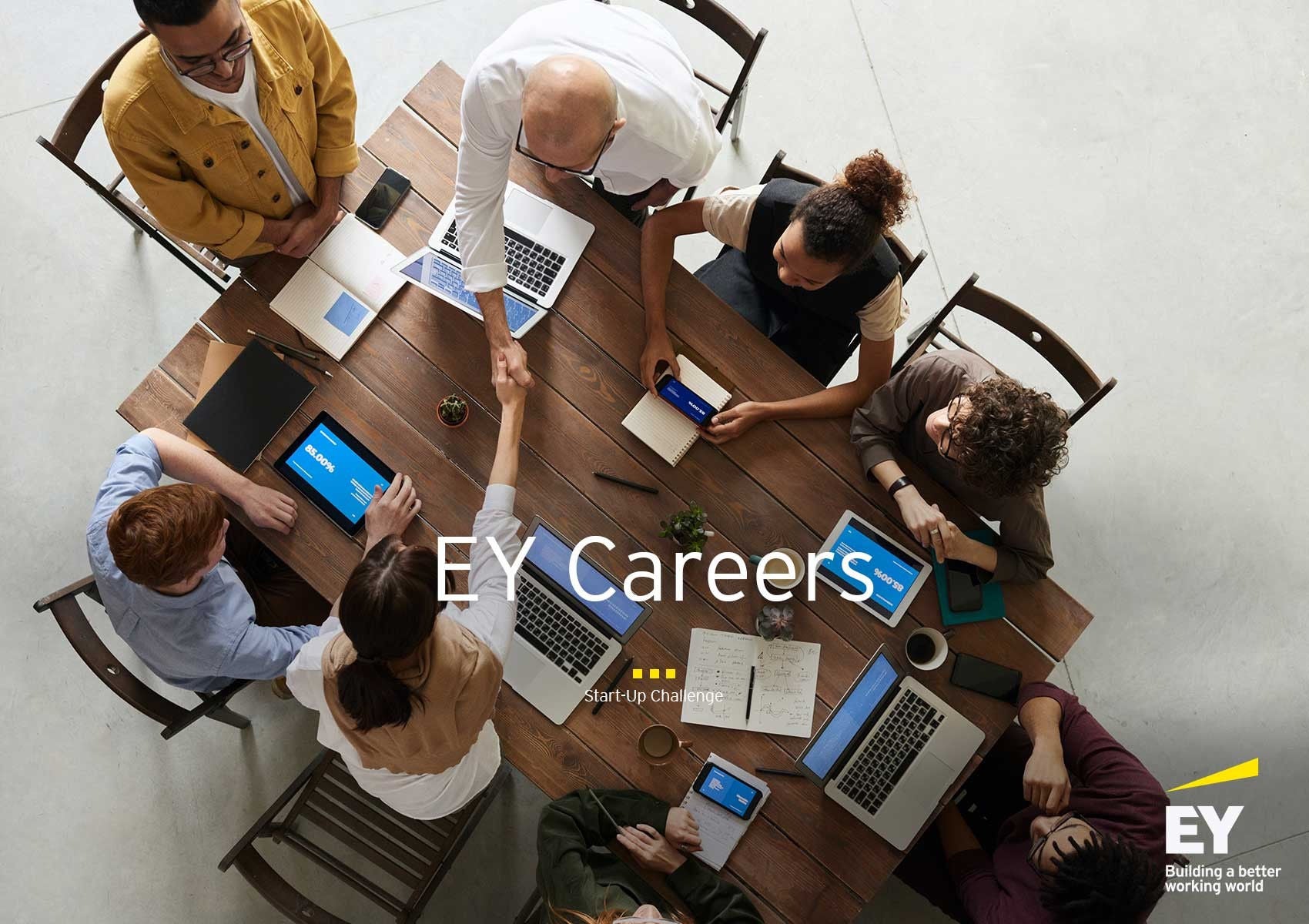 EY Careers